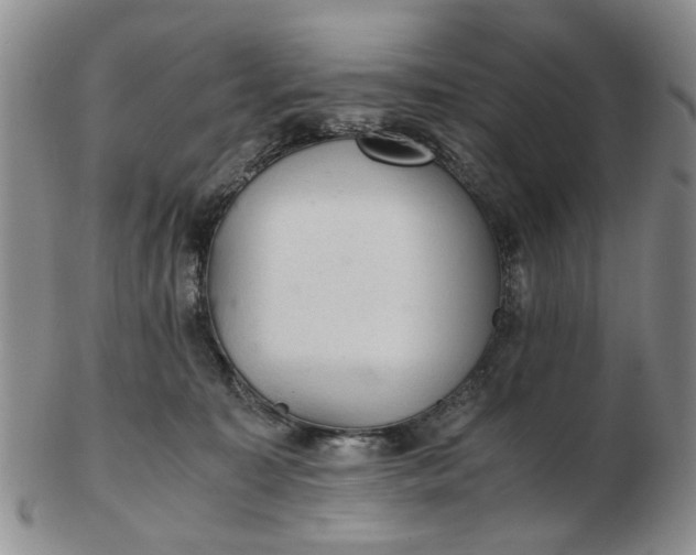 X0000103160323200809051705