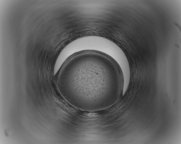 X0000103160324200809051705