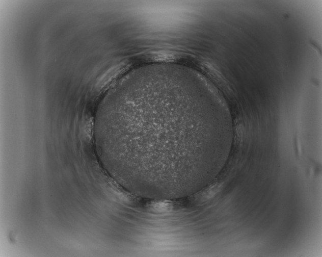 X0000103160325200809051705