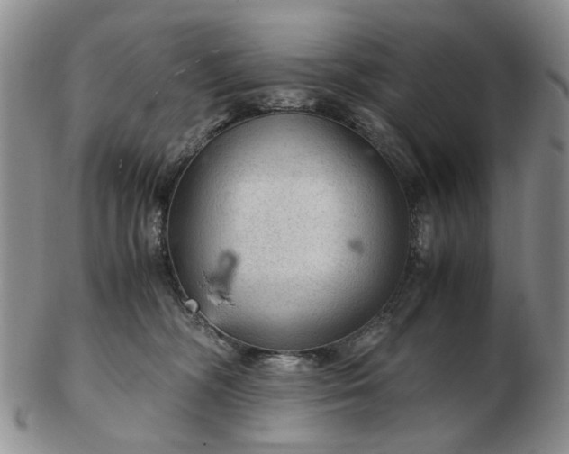 X0000103160326200809051705