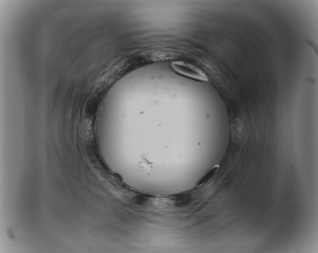 X0000103160327200809051705