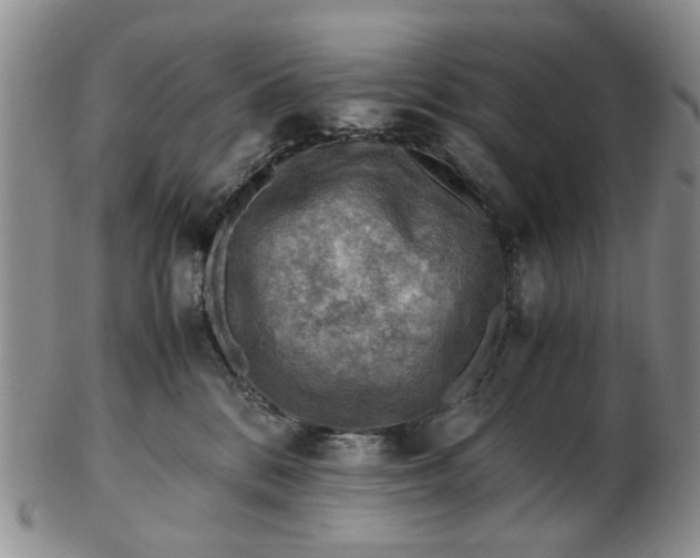 X0000103160328200809051705