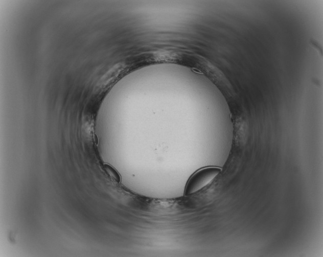 X0000103160329200809051705