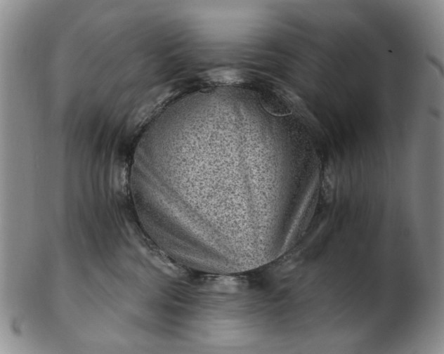 X0000103160330200809051705