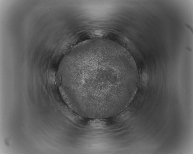 X0000103160331200809051705