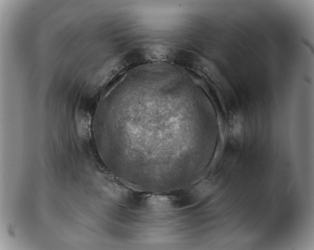 X0000103160332200809051705