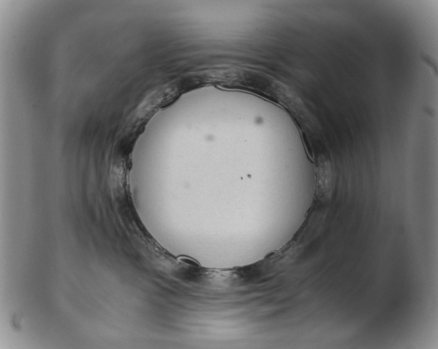 X0000103160333200809051705