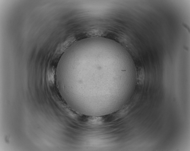 X0000103160334200809051705