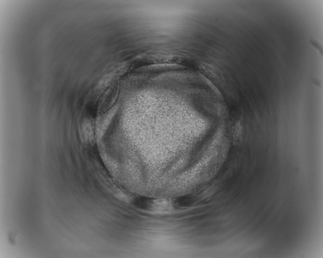 X0000103160335200809051705