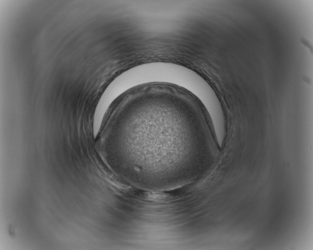 X0000103160336200809051705