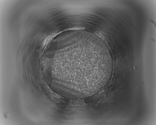 X0000103160337200809051704