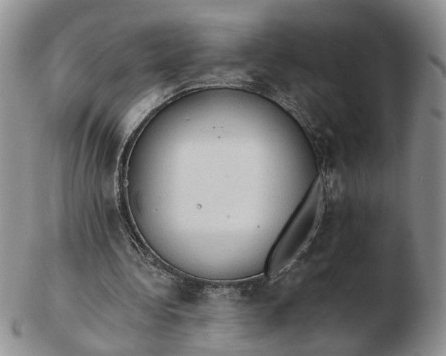 X0000103160340200809051704