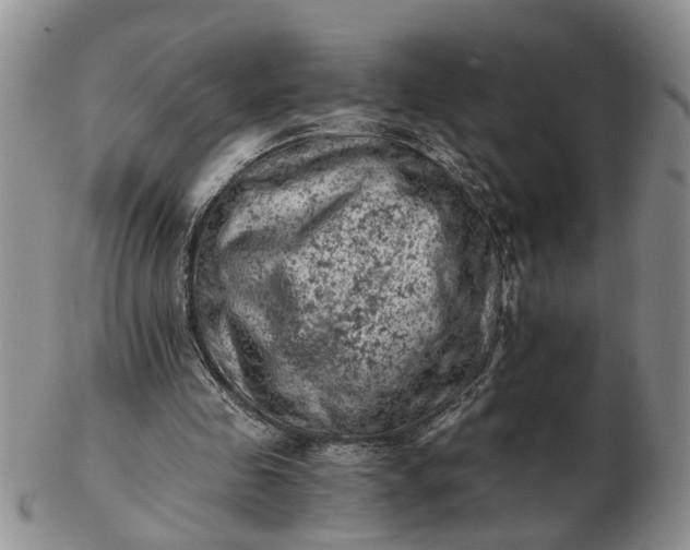 X0000103160341200809051704