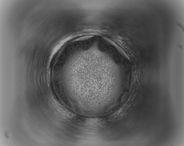 X0000103160342200809051704