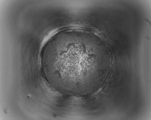 X0000103160343200809051704