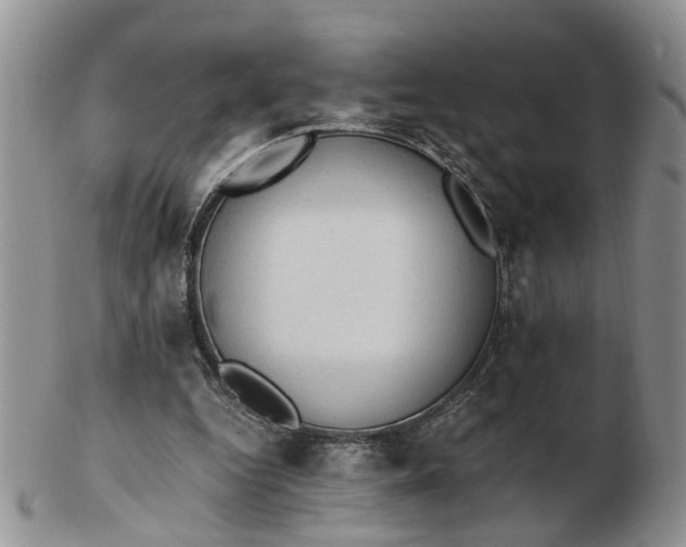 X0000103160344200809051704