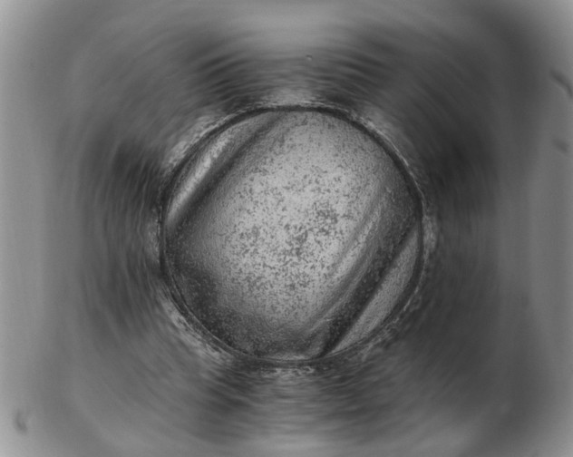 X0000103160345200809051704