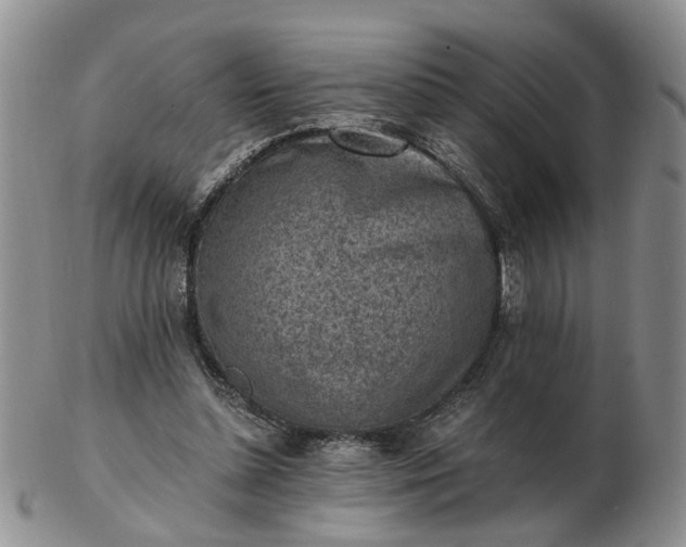 X0000103160348200809051704