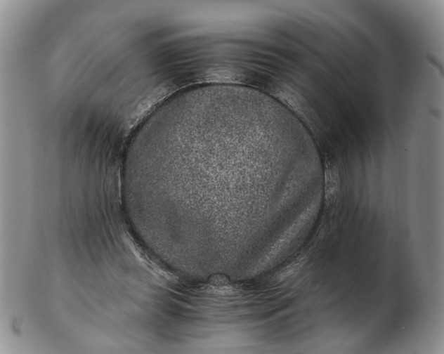 X0000103160349200809051704