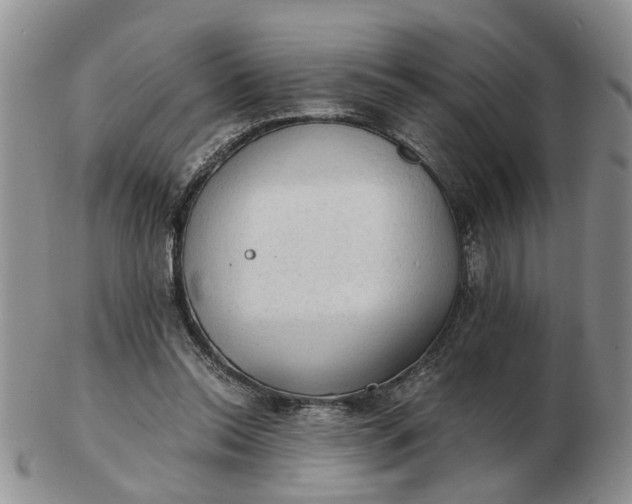 X0000103160350200809051704