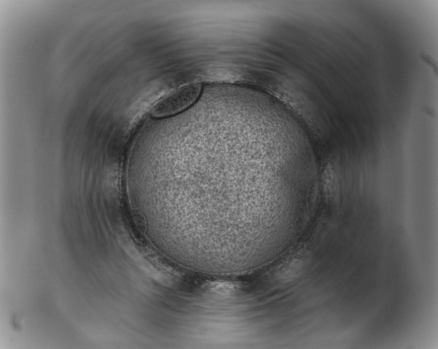 X0000103160352200809051705