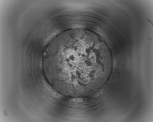 X0000103160353200809051705