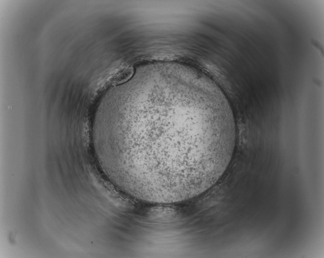 X0000103160354200809051705