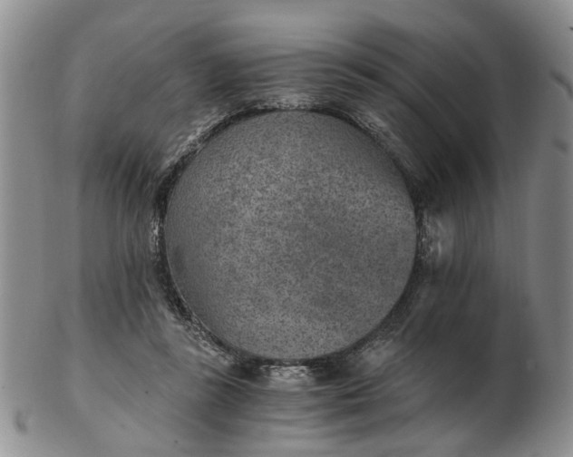 X0000103160355200809051705