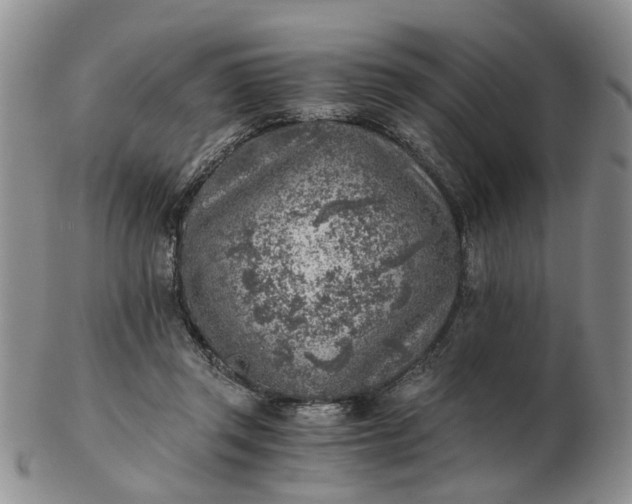 X0000103160357200809051705