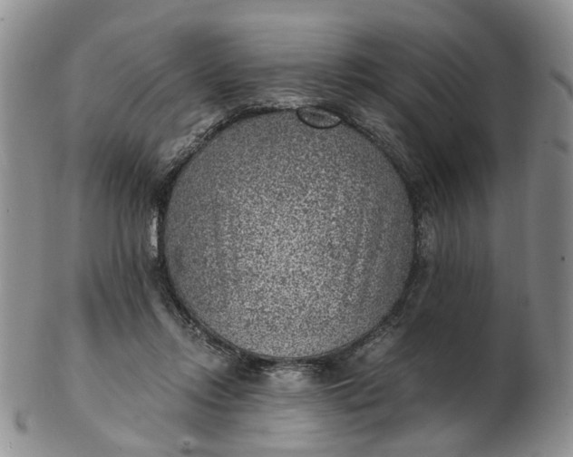 X0000103160358200809051705