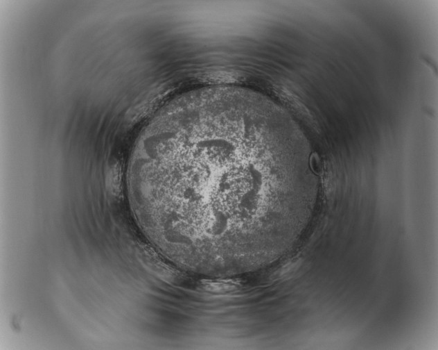 X0000103160359200809051705