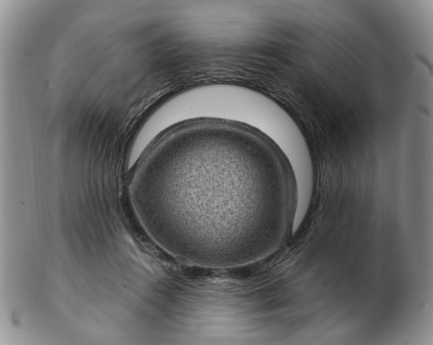 X0000103160360200809051705