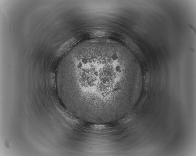 X0000103160361200809051705