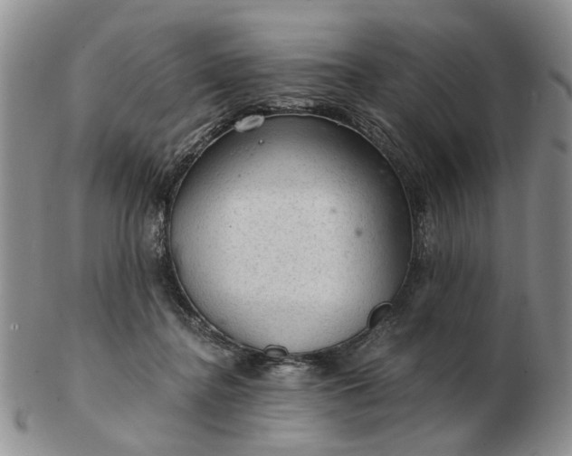 X0000103160364200809051705