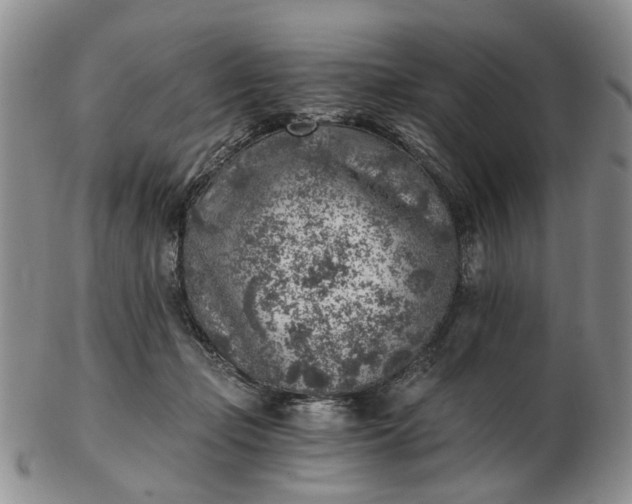 X0000103160365200809051705