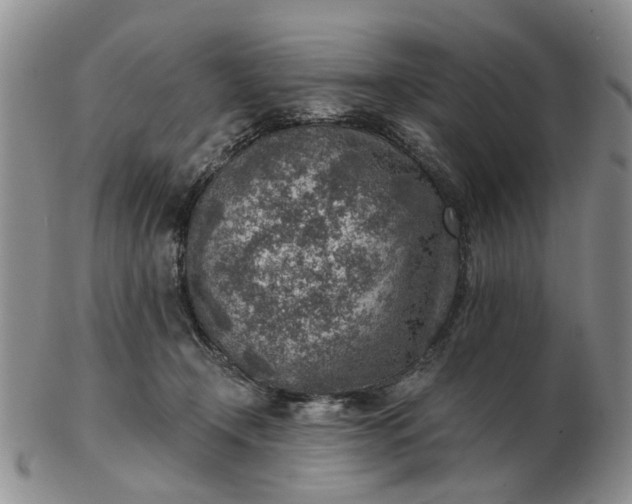 X0000103160366200809051705