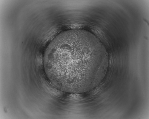 X0000103160367200809051705