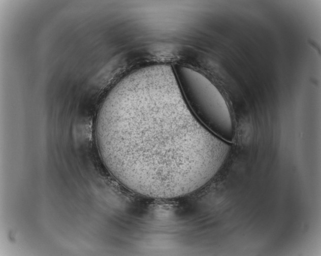 X0000103160368200809051705