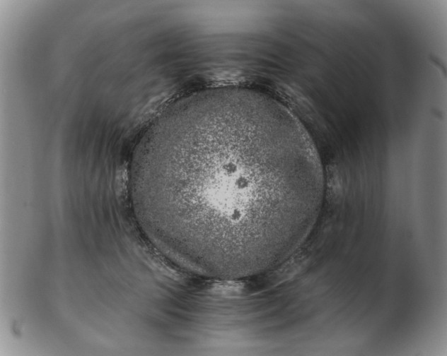 X0000103160369200809051705