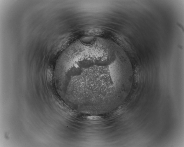 X0000103160371200809051705