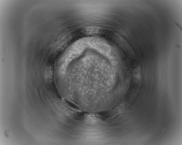 X0000103160372200809051705