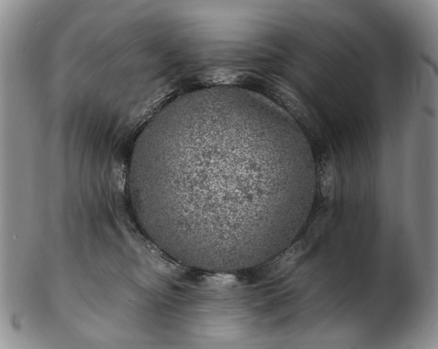 X0000103160374200809051705