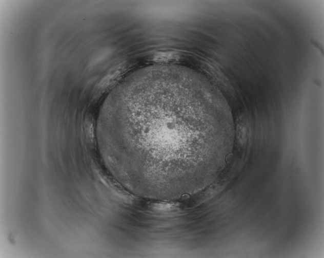 X0000103160375200809051705