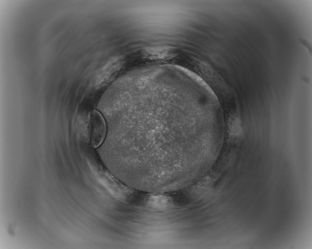 X0000103160376200809051705