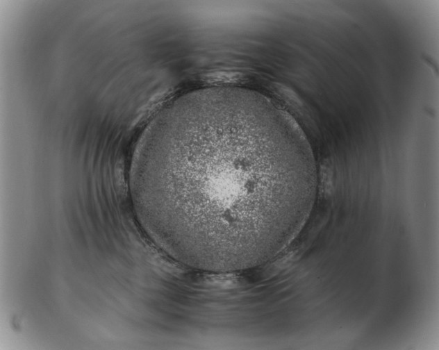 X0000103160377200809051705