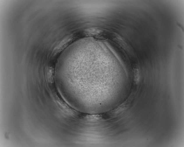 X0000103160378200809051705