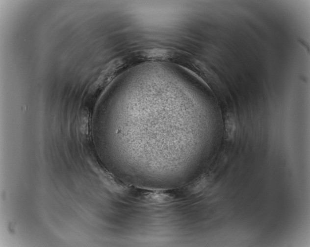 X0000103160379200809051705