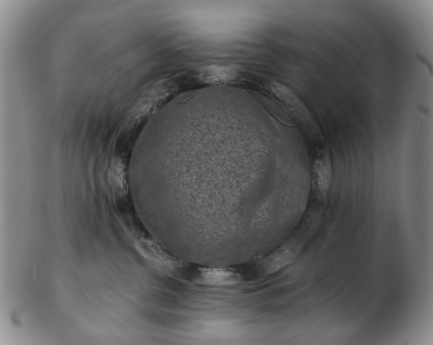 X0000103160380200809051705