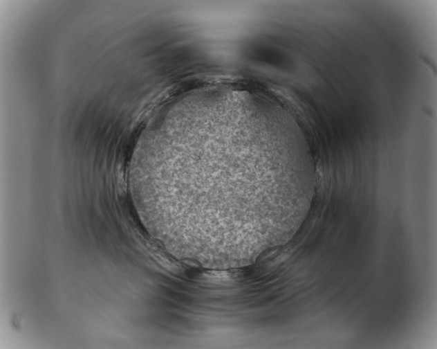 X0000103160381200809051705