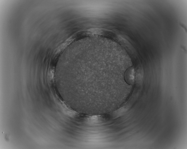 X0000103160382200809051705